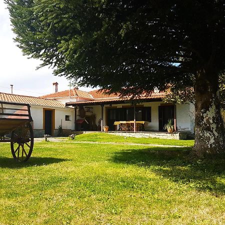Yiayia'S Rina'S Lovely Cottage Pteria Extérieur photo
